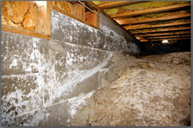 Mold in Crawl space